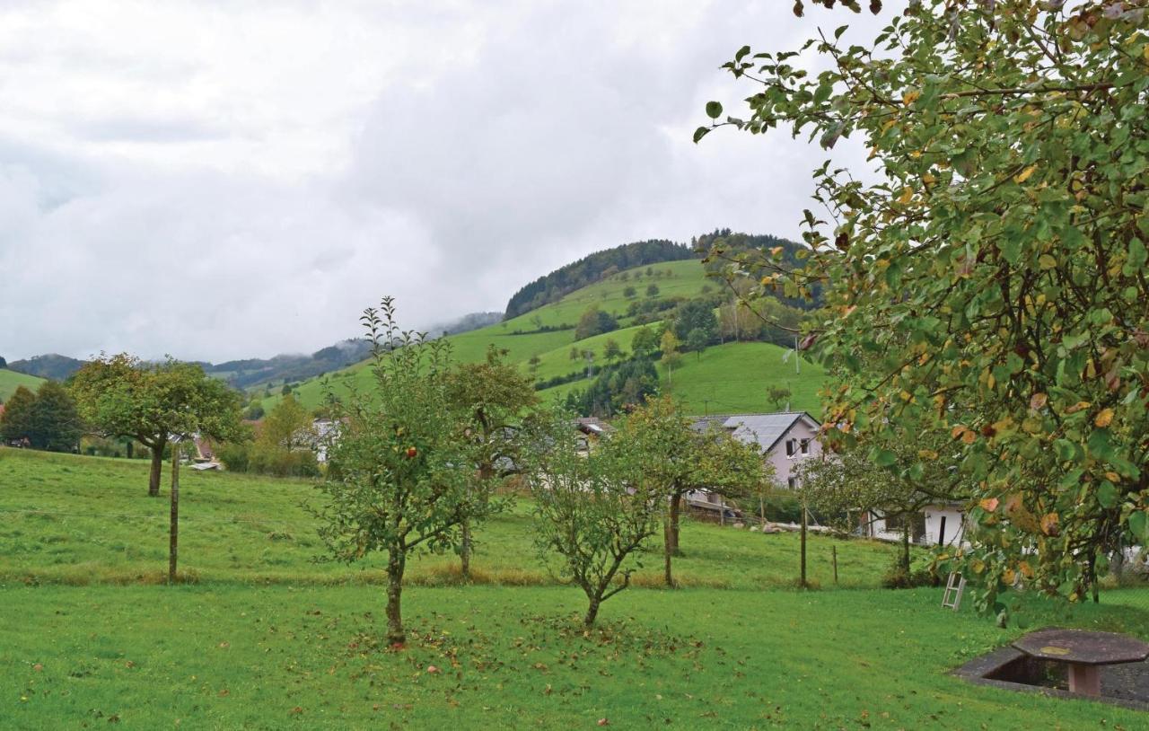 2 Bedroom Awesome Apartment In Welschensteinach Екстериор снимка
