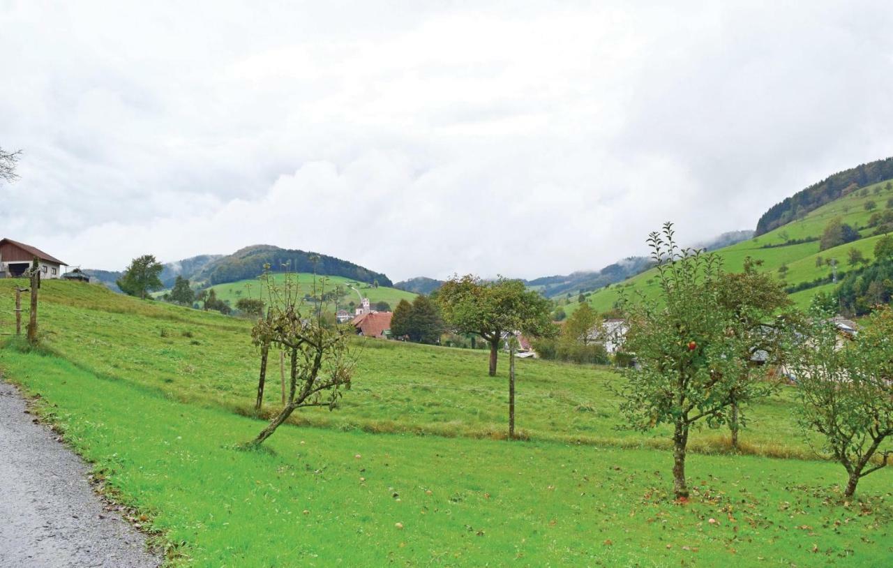 2 Bedroom Awesome Apartment In Welschensteinach Екстериор снимка